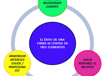 «Claves para la gestión de firmas y despachos profesionales»  (17)